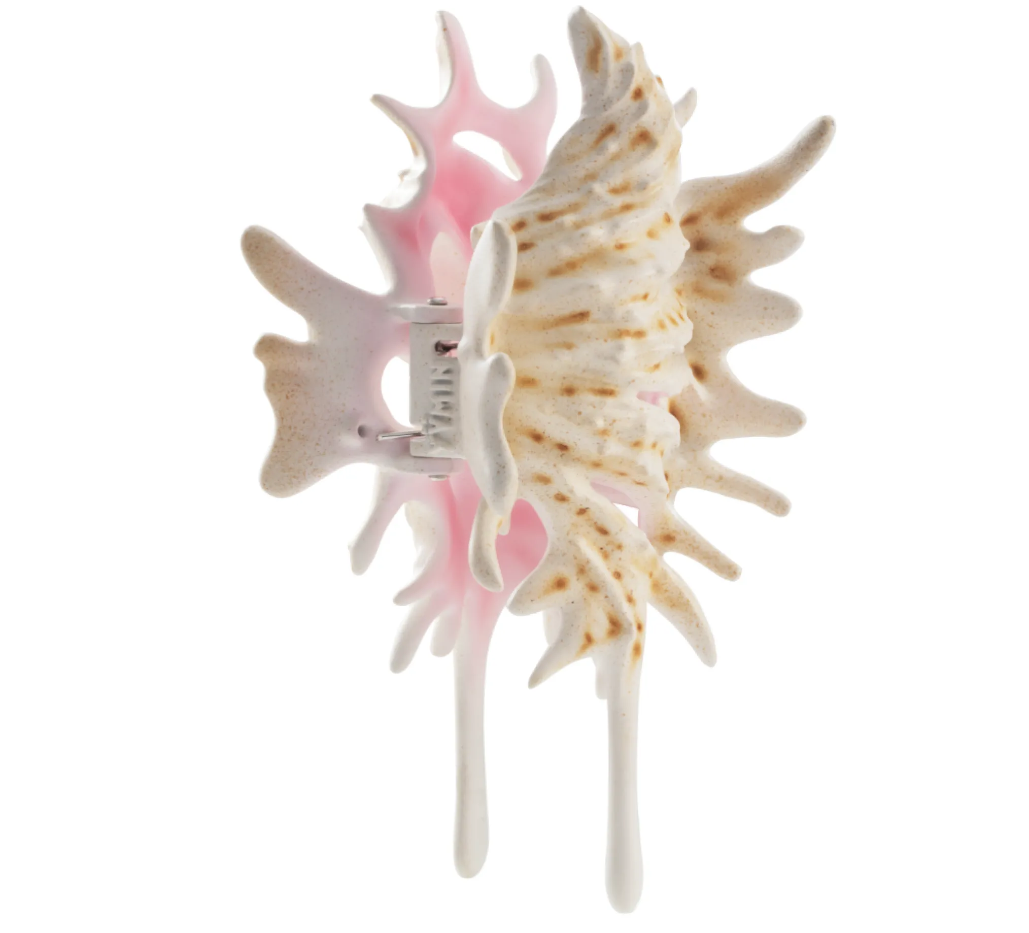 Shell / Conch Hair Claw