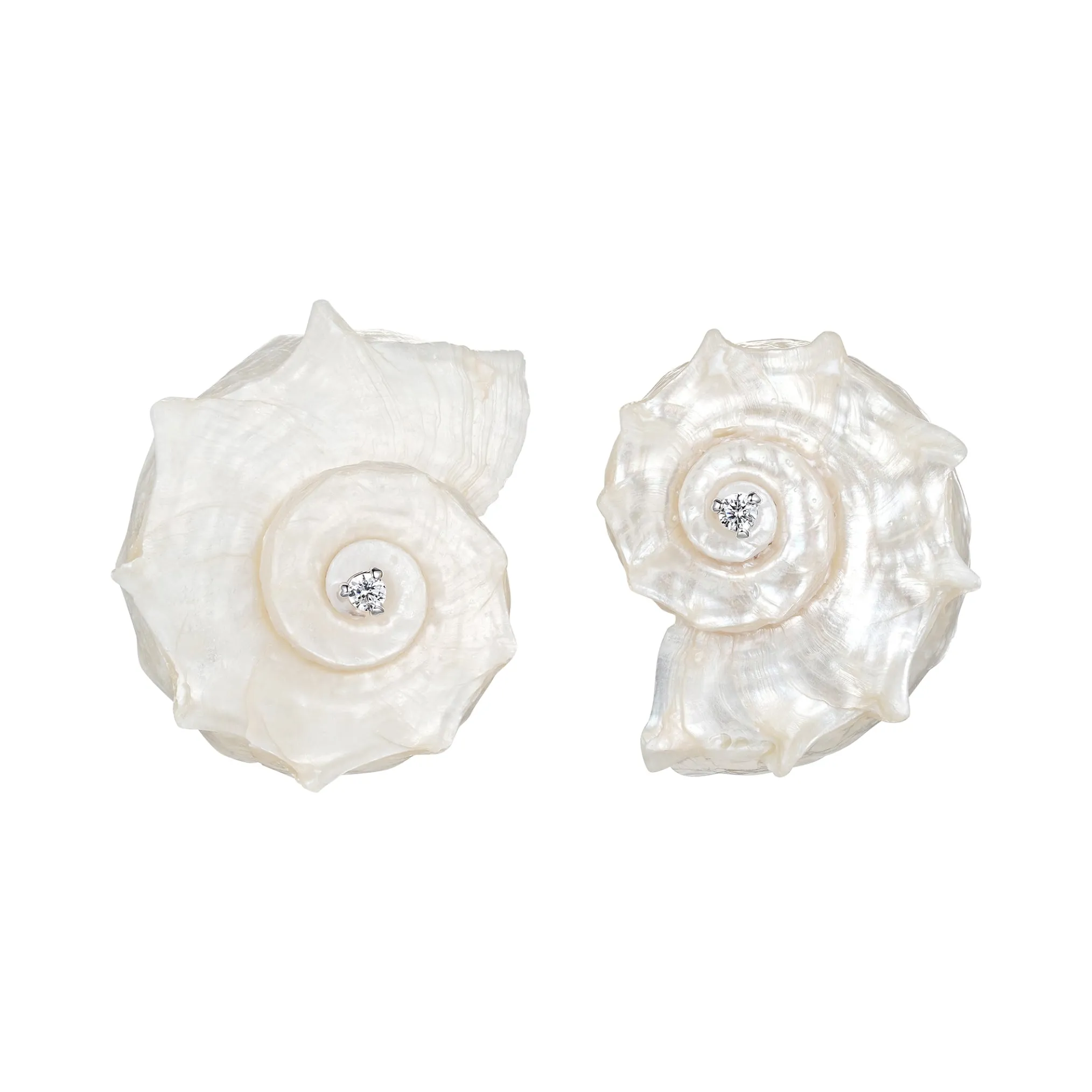 Shell / Natural Shell Conch Earring