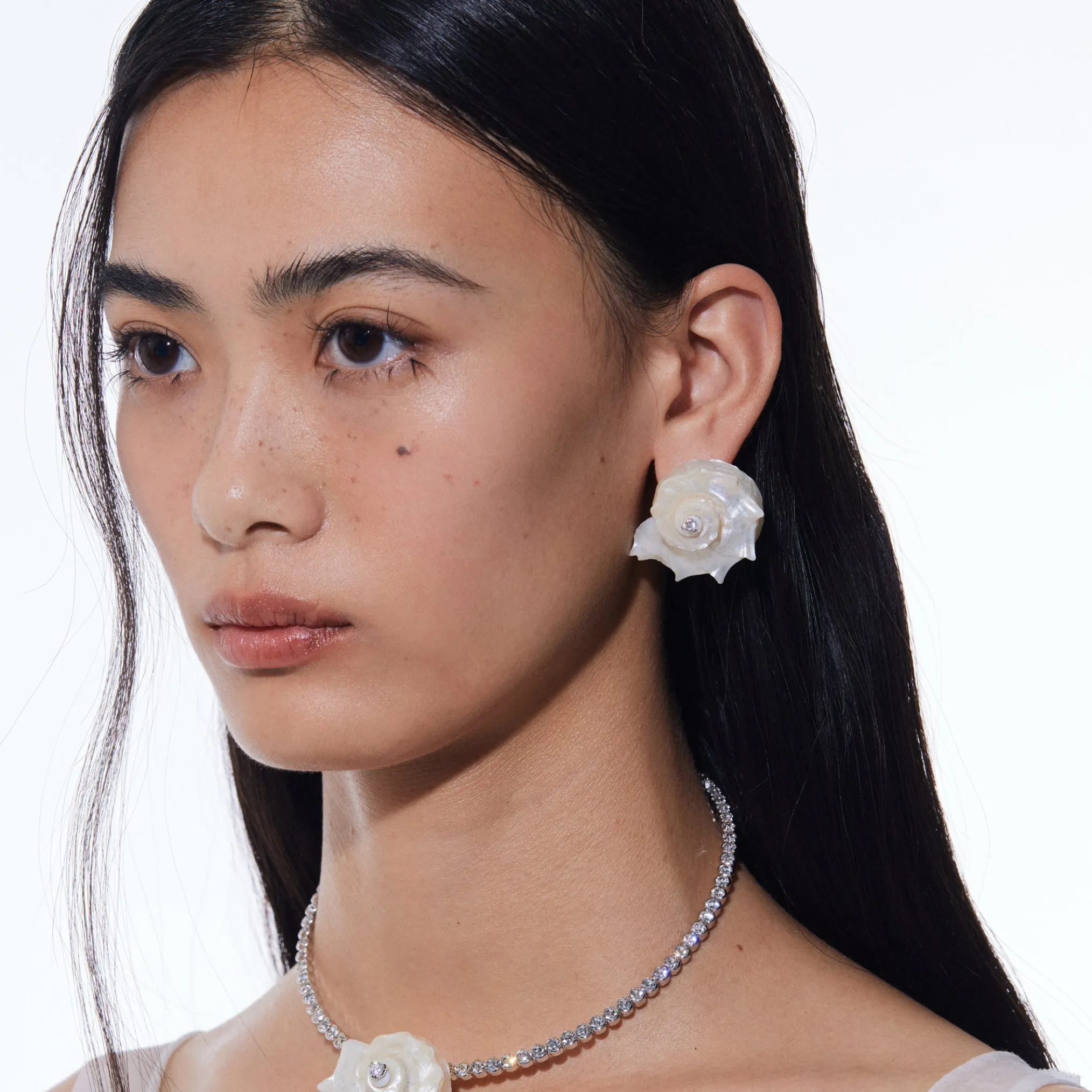 Shell / Natural Shell Conch Earring